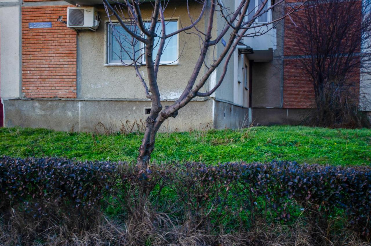 Hera'S Bohemian Home Arad Dış mekan fotoğraf
